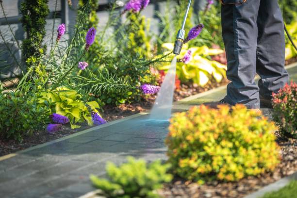 Best Dumpster Area Cleaning  in Schofield Barracks, HI